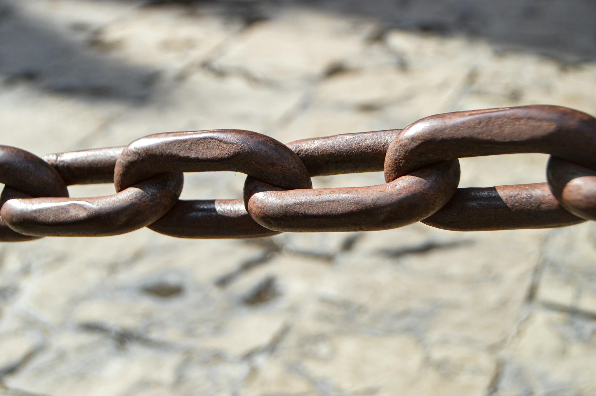 Leveraging External Links: How Outgoing Links Improve SEO Performance